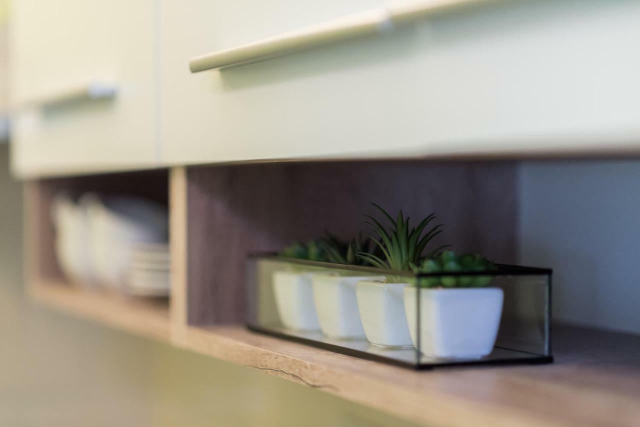 Jungle Design Apartment بودابست المظهر الخارجي الصورة